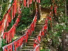 -光雾山旅游景区