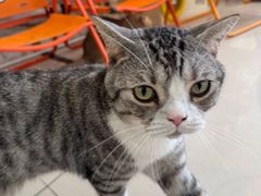 -平行世界·猫咖(首经贸店)