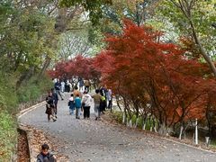 -南京市江宁方山