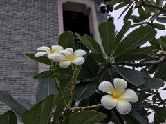 -粤剧艺术博物馆