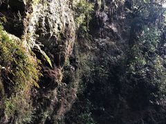 -怀托摩萤火虫洞