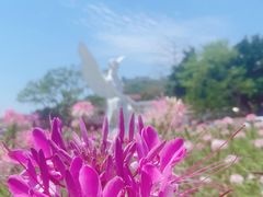 -玫瑰海岸文化旅游度假区
