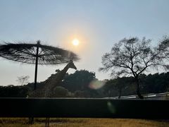 -沈阳森林动物园