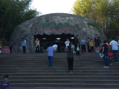 -中国西峡恐龙遗迹园