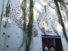 -中国湿地博物馆
