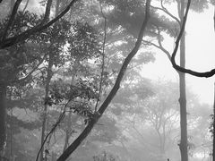 -梧桐山风景名胜区