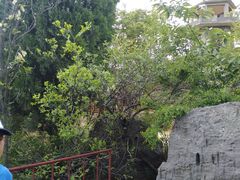 -环翠峪风景区