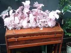 -烤匠麻辣烤鱼(万象城店)