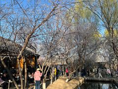 -春风习习