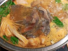 -清真·噃茄树黄柿子火锅