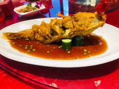 -海岛渔村大酒店(云霄路店)