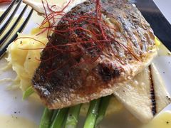 -Ambrosia Oyster Bar & Grill