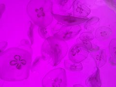 -沈阳海洋探索中心