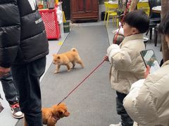 -又见炊烟私房菜(敬亭路店)