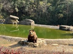 -杭州野生动物世界
