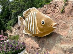 -小船渔村·大连菜(明泽街店)