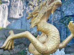 -宜兴龙背山森林公园
