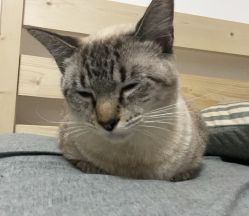 -证大美爵酒店·一站式婚宴宴会厅