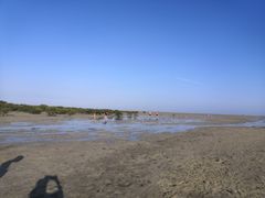 -北海金海湾红树林生态旅游区