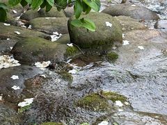-句容茅山景区