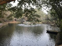 景点-望江楼公园