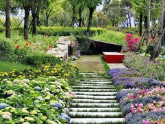 -春花秋色城市公园