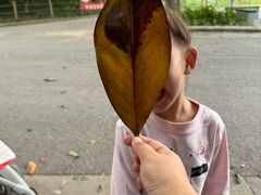 -鸡鸣汤包(红山动物园店)