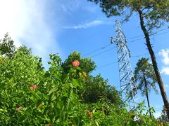 -铁山坪森林公园