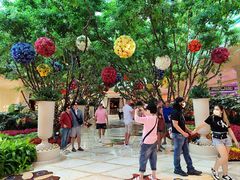 -拉斯维加斯永利酒店