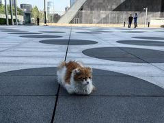 -中央广播电视总台(光华路办公区)