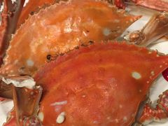 -开海·红岛海鲜虾水饺(石老人店)