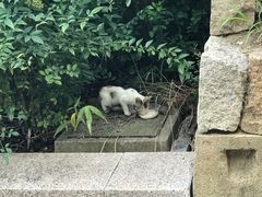 -相门城墙文化休闲景区