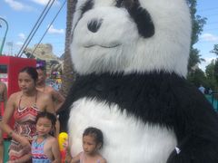 -苏州乐园森林水世界