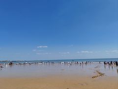 -青岛第三海水浴场