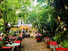 -Fern Forest Cafe