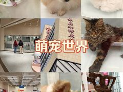 -银座和谐广场