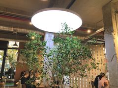 -喜马拉雅森(运河汇1958店)