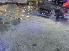 店内环境-鸿通城购物中心