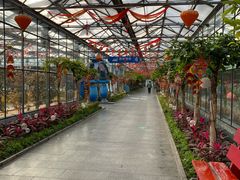 -南宫五洲植物乐园