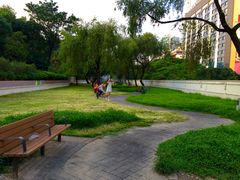 -九龙公园