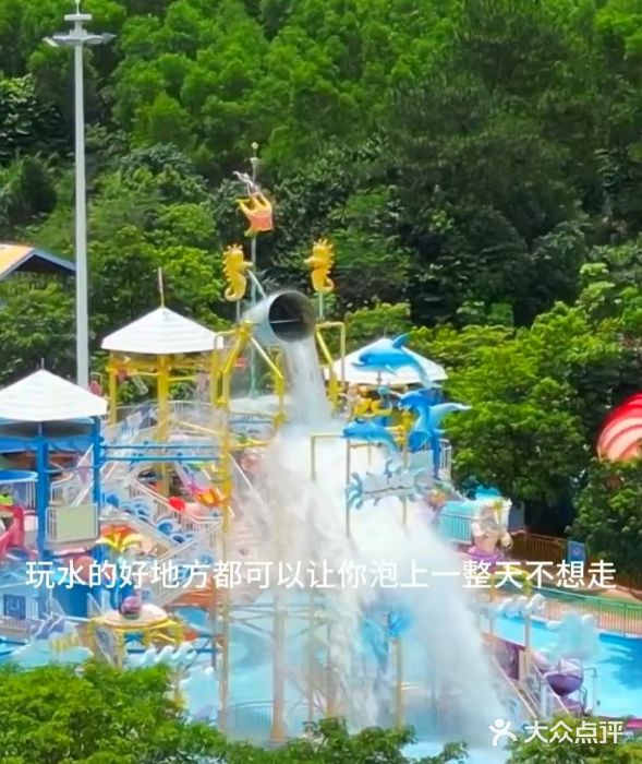 盈香心动乐园图片