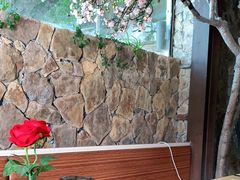 -渔太泰漓江小馆·广西融合菜(西街店)