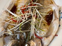 清蒸白鱼-巢湖名吃·东关老鹅汤(江南风情街店)