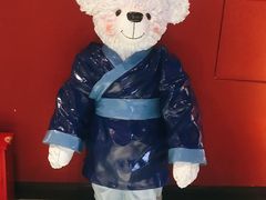 -成都泰迪熊博物馆