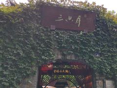 -三只耳火锅(宽窄巷子店)