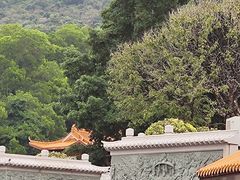 -深圳仙湖植物园