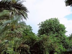-柳侯公园