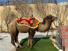 -清河半岛温泉度假酒店