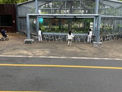 -苏州上方山国家森林公园