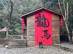 -龙湾潭国家森林公园